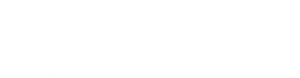 Чисто-Панда